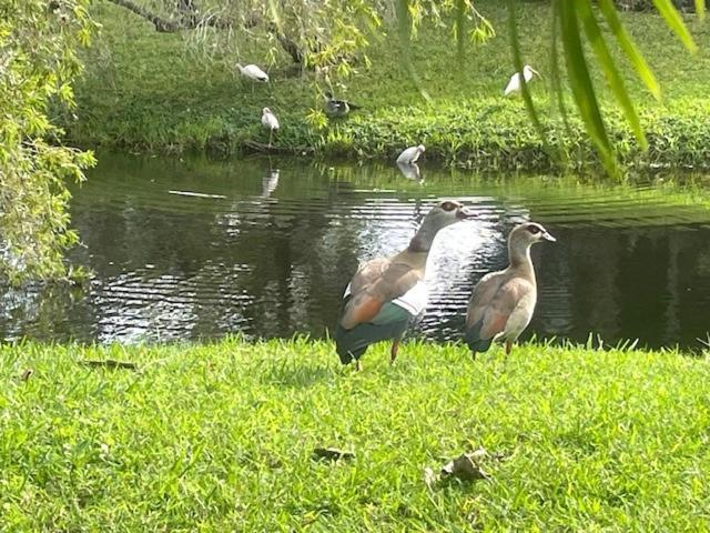 Coastal Townhome In Jupiter 1 Mile To Beach! Eksteriør bilde